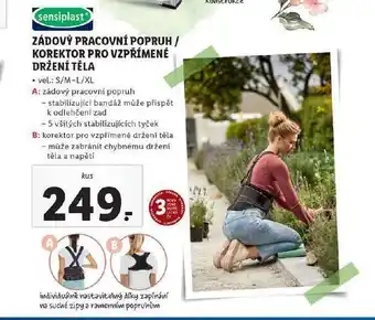 Korektor pro vzpřímené držení těl