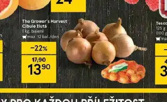 Tesco Cibule žlutá nabídka