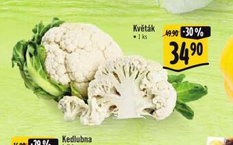 Albert Květák nabídka
