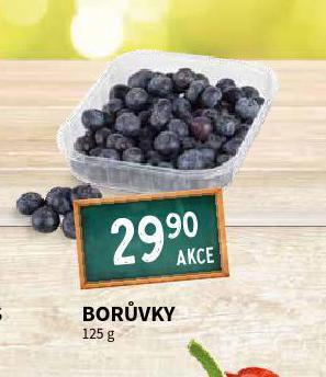 Terno Borůvky nabídka