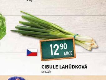 Terno Cibule lahůdková nabídka