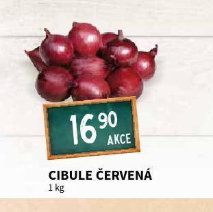 Terno Cibule červená nabídka