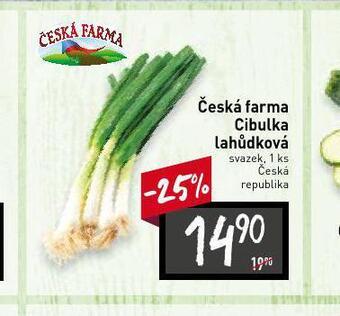 Billa Cibulka lahůdková nabídka