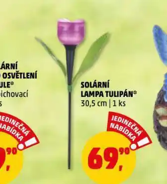 Penny Market Solární lampa nabídka