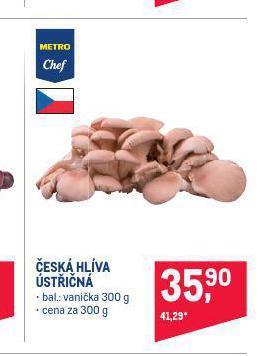 Makro Česká hlíva ústřičná nabídka