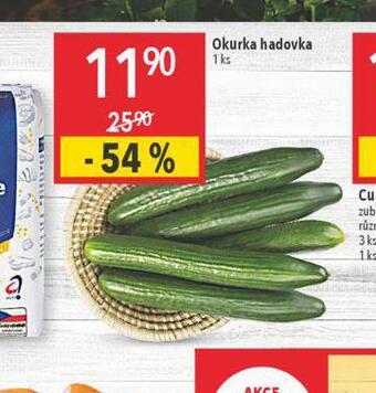 Globus Okurka hadovka nabídka