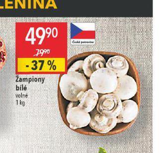 Globus Žampiony bílé nabídka