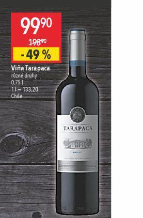 Globus Vina tarapaca nabídka