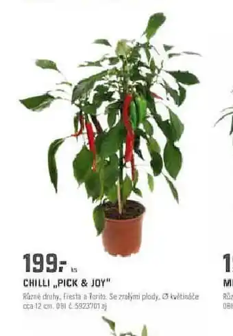 chilli pick & joy
