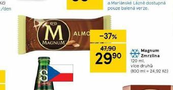 Tesco Magnum zmrzlina nabídka