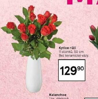 Tesco Kytice růží nabídka