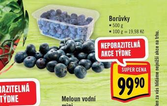 Jip Borůvky nabídka