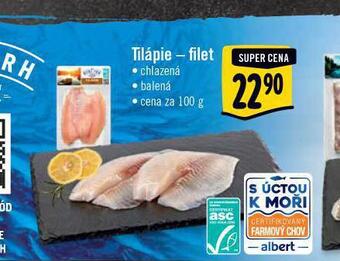 Jip Tilápie filet nabídka
