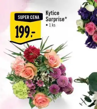 Jip Kytice surprise nabídka