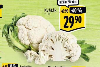 Albert Květák nabídka
