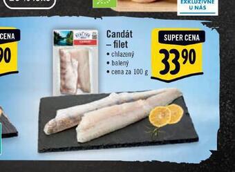 Albert Candát filet nabídka