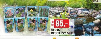 Baumax Vodní rostliny mix nabídka