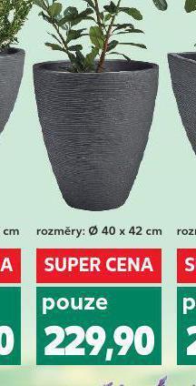 Kaufland Květináč nabídka