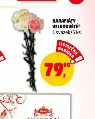 Penny Market Karafiáty velkokvěté nabídka