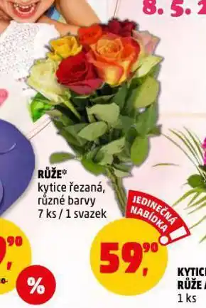 Penny Market Kytice růže nabídka