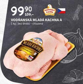 Terno Vodňanská mladá kachna nabídka