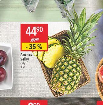 Globus Ananas velký nabídka