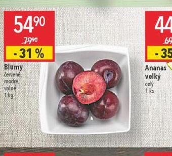 Globus Blumy nabídka