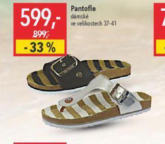 Globus Dámské pantofle nabídka