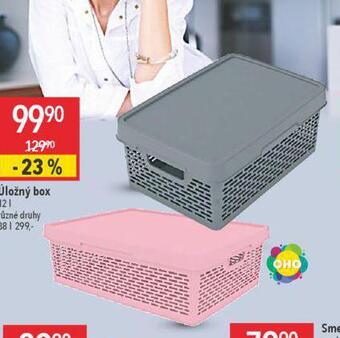 Globus Úložný box nabídka