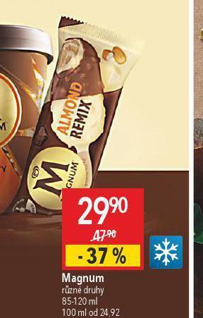 Globus Magnum nabídka