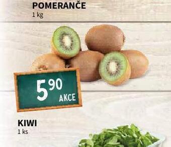 Terno Kiwi nabídka