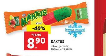 Lidl Kaktus nabídka