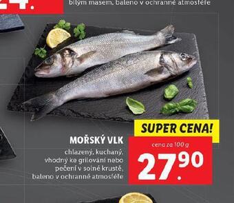 Lidl Mořský vlk nabídka