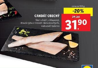 Lidl Candát obecný nabídka
