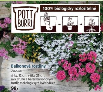 Balkonové rostliny