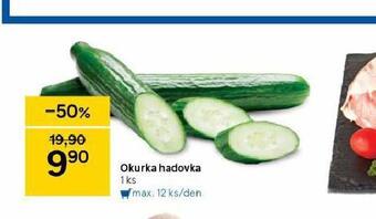 Tesco Okurka hadovka nabídka