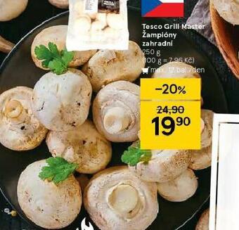 Tesco Žampiony zahradní nabídka