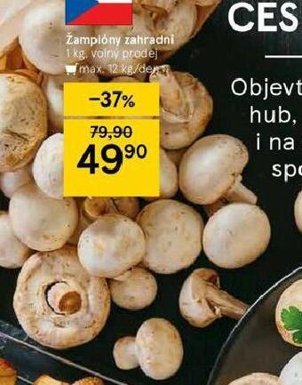 Tesco Žampiony zahradní nabídka