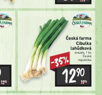 Billa Cibulka lahůdková nabídka