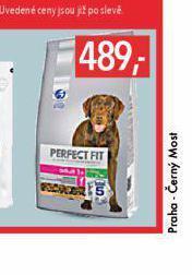 Perfect fit pro psy