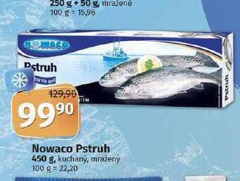 Nowaco pstruh