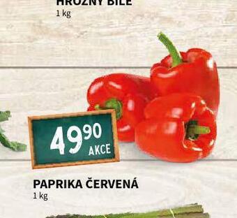 Terno Paprika červená nabídka