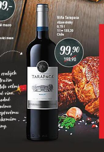 Globus Vina tarapaca nabídka