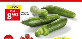 Lidl Okurka salátová nabídka