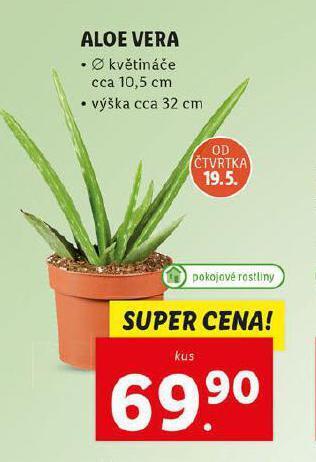 Lidl Aloe vera nabídka