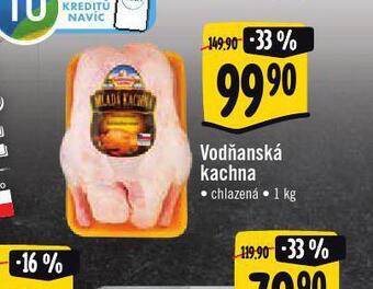 Jip Vodňanská kachna nabídka