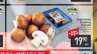 Billa Žampiony krémové nabídka