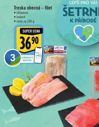 Albert Treska obecná filet nabídka