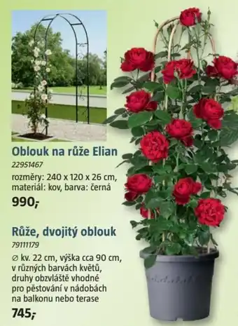 Bauhaus Růže, dvojitý oblouk nabídka