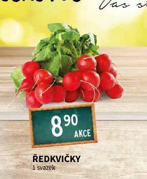 Terno Ředkvičky nabídka